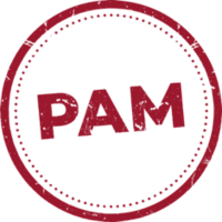 Logo des Projekts Das Projekt "Partnerschaften für entwicklungsorientierte Ausbildungs- und Arbeitsmigration" (kurz PAM)